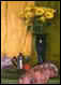 80/60cm,1999