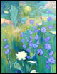50/65cm,2001y.